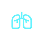 Applicazione del dispositivo ad ultrasuoni portatile portatile polmone